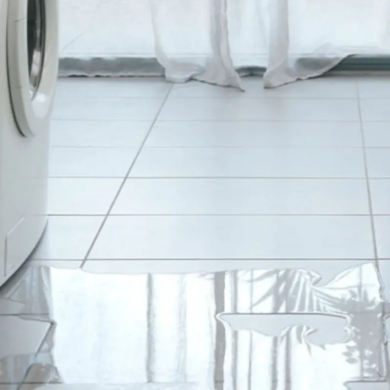 Appliance Leak Cleanup in Floydada, TX