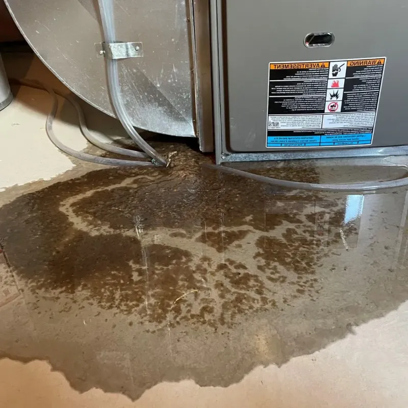 Pipe Burst and Leak Restoration in Floydada, TX
