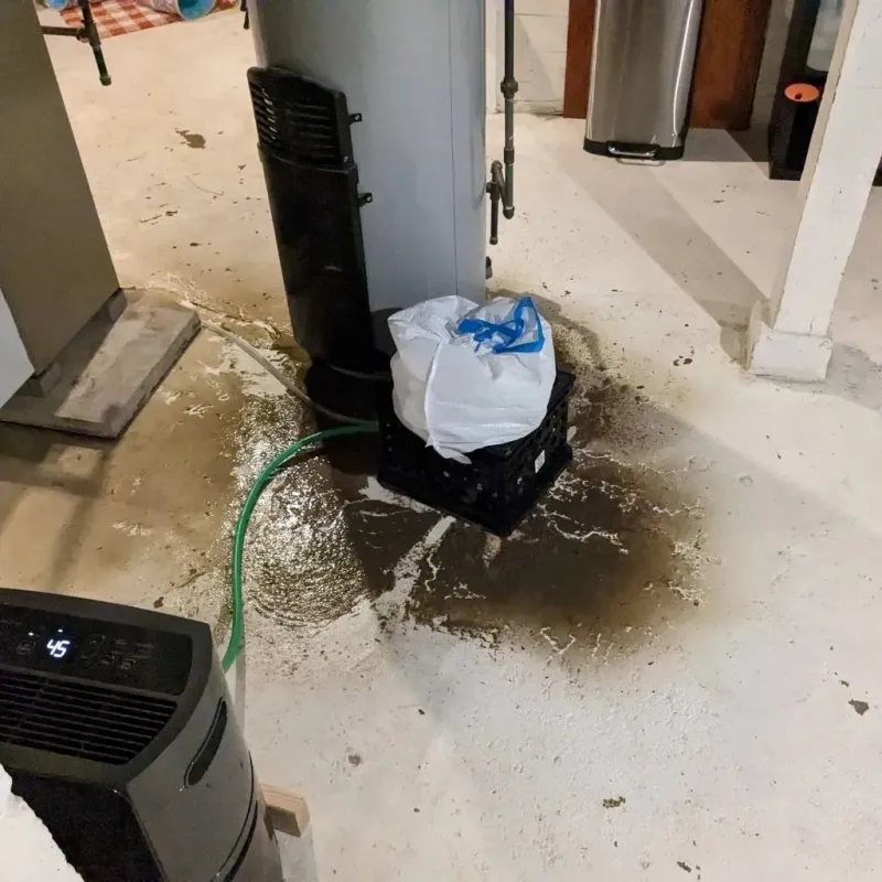 Sewage Backup Cleanup Service in Floydada, TX